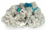Vibrant Blue Cavansite Crystals on Sparkling Stilbite - India #340991-2